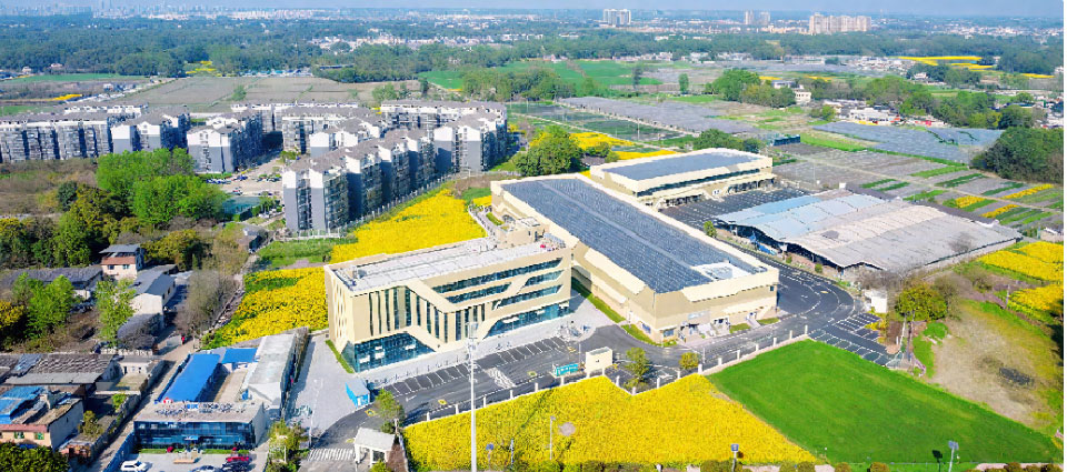 園區實際效果圖